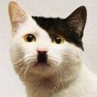 Kitler_Dark